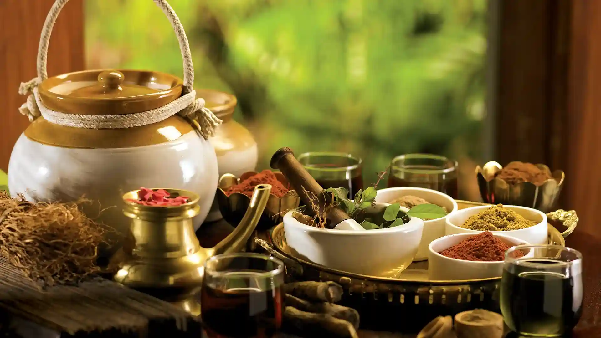 Ayurveda Wellness