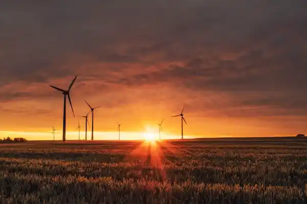 Renewable Energy